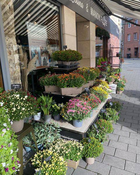 Livraison de chrysanthème sur les tombes près d'Elbeuf