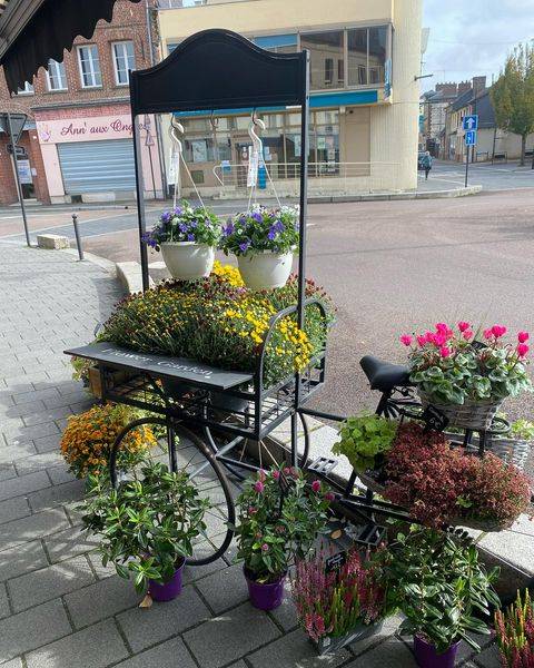 Livraison de chrysanthème sur les tombes près d'Elbeuf