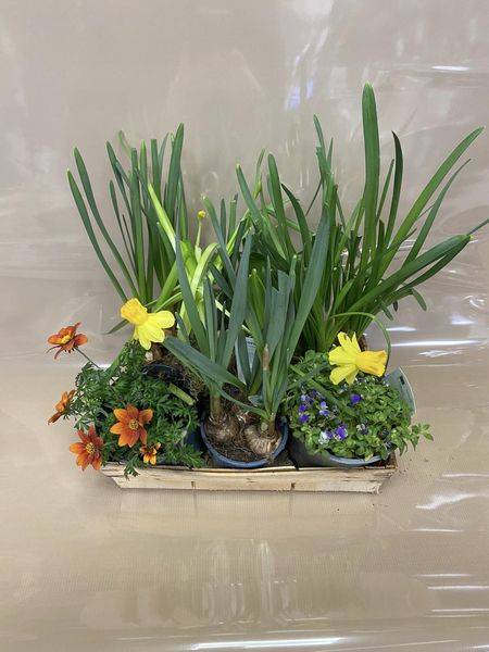 Panier anti gaspillage