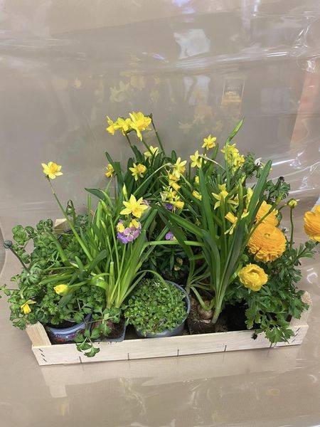 Panier anti gaspillage