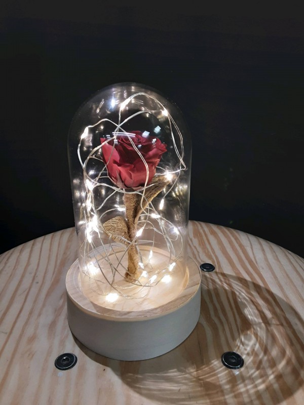 Rose éternelle