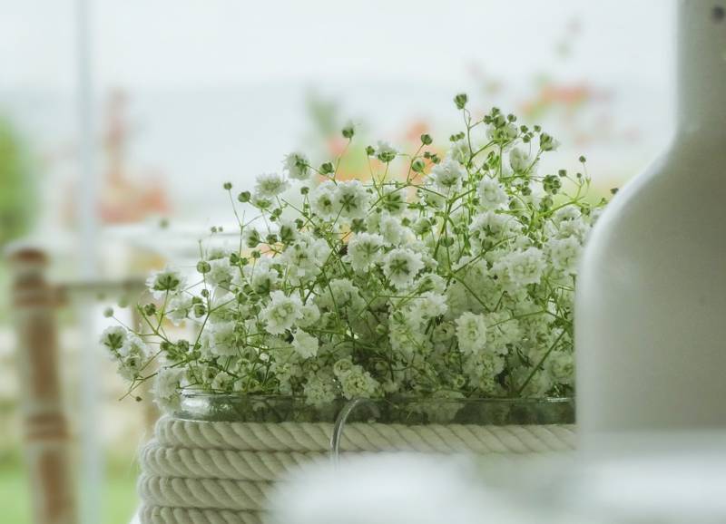 Décoration pour entreprise à Elbeuf de fleurs