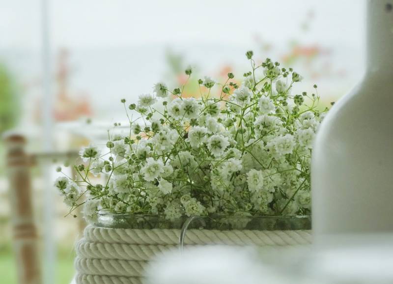 Décoration pour entreprise à Elbeuf de fleurs 