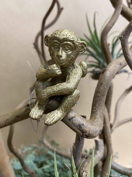 Décoration assemblage de plantes petit singes