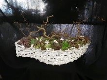 Nos prestations sur le secteur de Elbeuf 76500 en Seine-Maritime