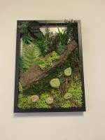 Nos prestations sur le secteur de Elbeuf 76500 en Seine-Maritime